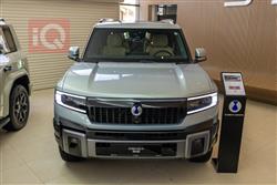 دينزا B8